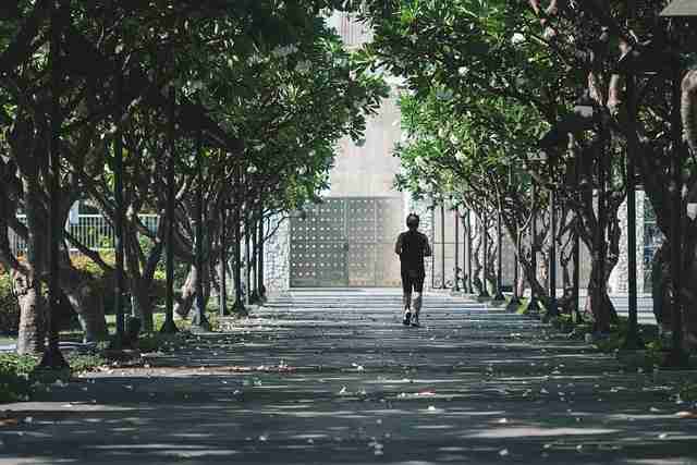 赏析·灰度地带｜p站官方官网｜原汁原味｜完全手册，灰度lpt